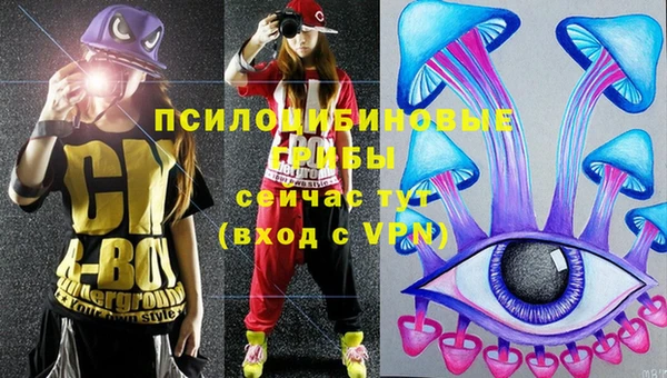 таблы Алексеевка