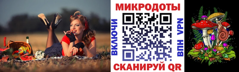 цена   Камызяк  Псилоцибиновые грибы Magic Shrooms 